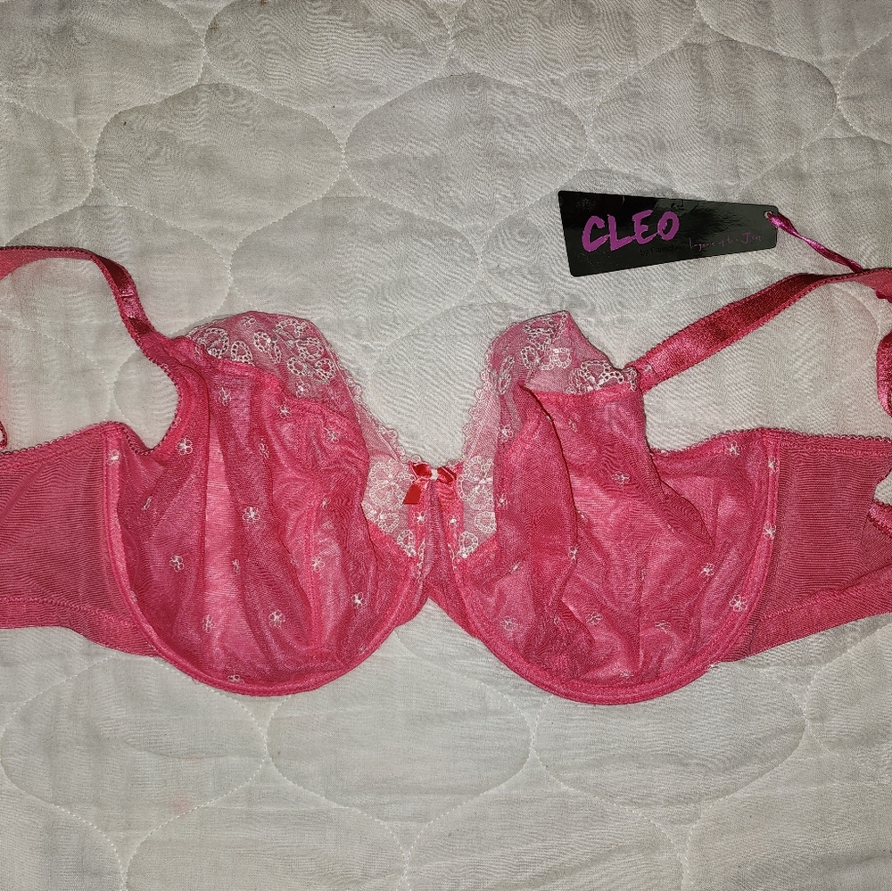 Cleo by Panache 30J Lucy Bra  Underwire Pink Style 5851 NWT
